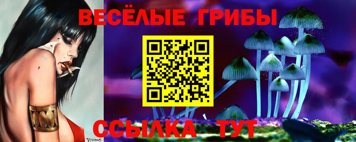 Псилоцибиновые грибы Cubensis Заречный
